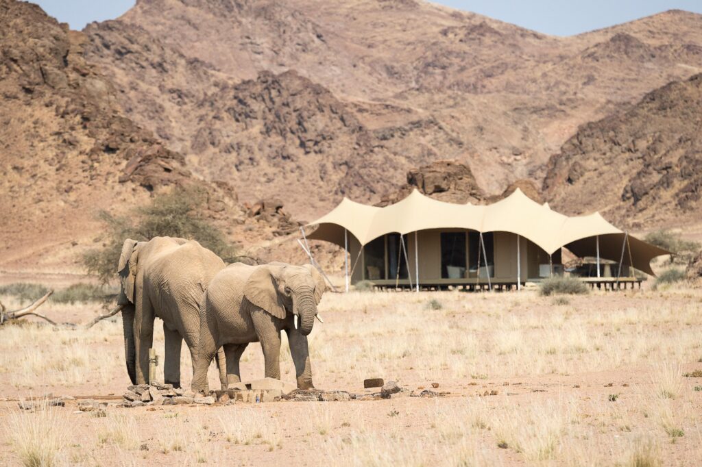 Luxury safari lodges in Africa