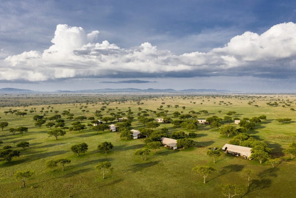 Luxury safari lodges in Africa