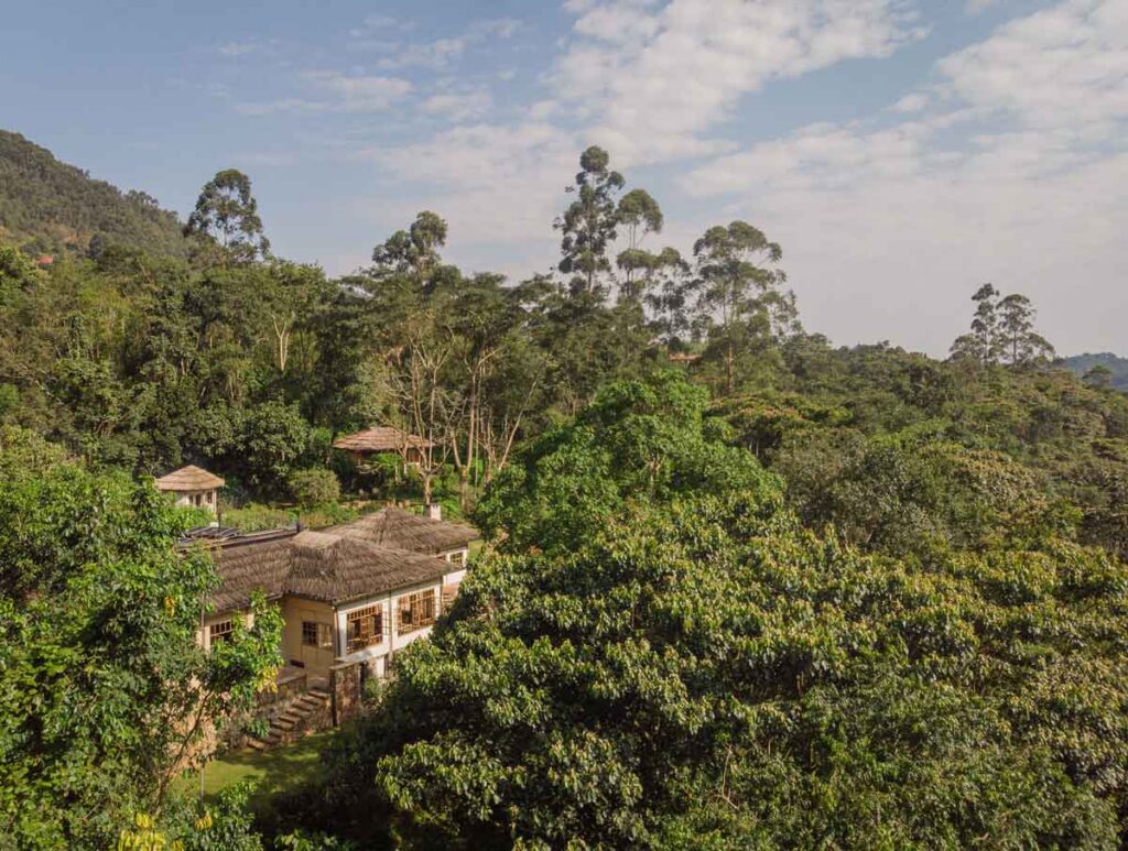 Luxury safari lodges in Africa